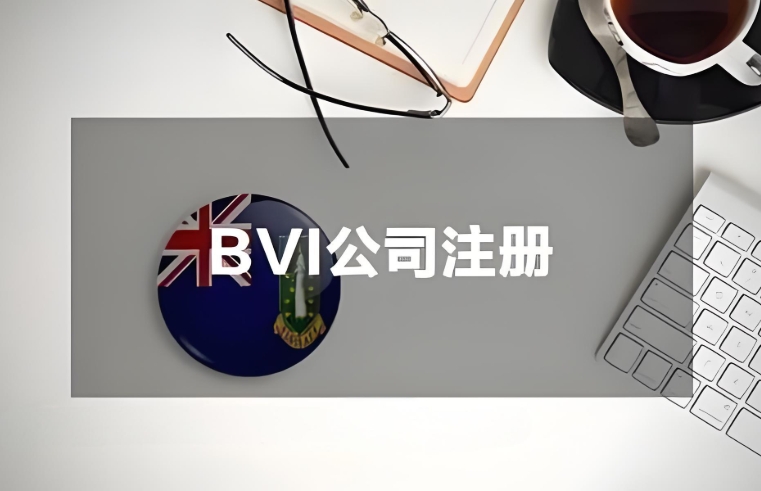 BVI注册流程.png