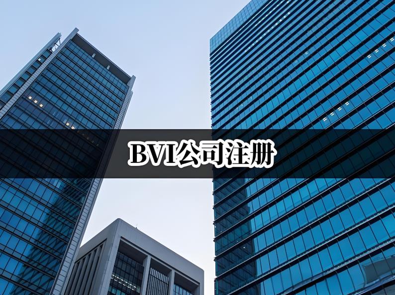 BVI公司注册详细流程.jpg